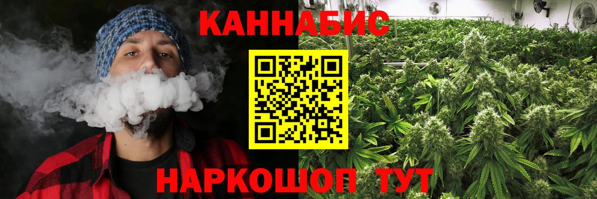 Бошки марихуана сатива  Вход с VPN  Шишки марихуана ГИДРОПОН  Канабис конопля  Норильск 